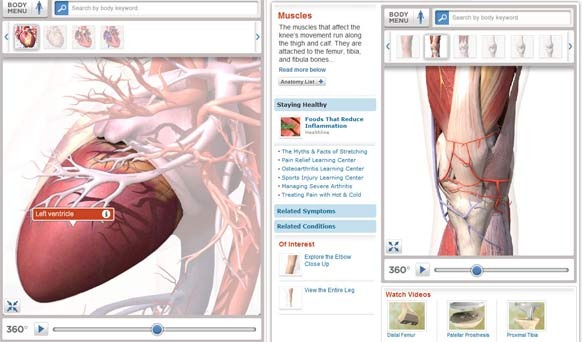 Online Human Anatomy and Physiology Help: BodyMaps 3-D Interactive ...